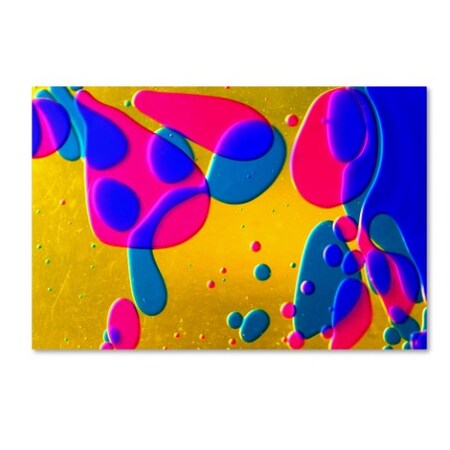 Trademark Fine Art Beata Czyzowska Young 'Colour Fun I' Canvas Art, 22x32 BC0163-C2232GG